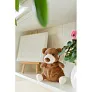 Ragan Plush teddy bear