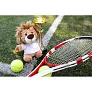 Manethew Plush lion