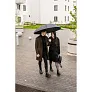  Automatic umbrella Mauro Conti