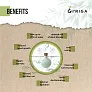  I’Riga - ceramic irrigation pot 200 ml for plants B'RIGHT