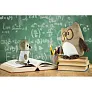 Cleverly Plush owl, keyring