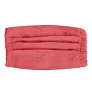  Reusable face mask