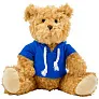  Teddy bear with hoodie