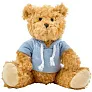  Teddy bear with hoodie