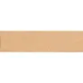  School set, pencil case