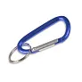  Keyring, carabiner