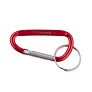  Keyring, carabiner