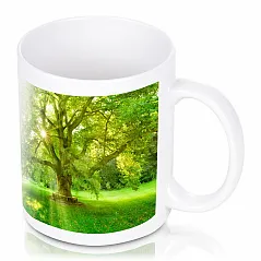 Ceramic mug 300 ml