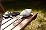  Power bank 10400 mAh Air Gifts "stone"
