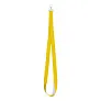  Lanyard
