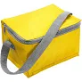  Cooler bag