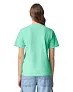  ADULT HEAVYWEIGHT TEE - Comfort Colors