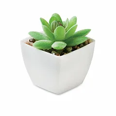 mini umjetna biljka