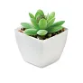ARTIGRAP Mini artificial plant
