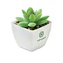 ARTIGRAP Mini artificial plant