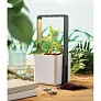 LUSHLET Indoor garden with LED light