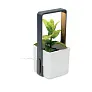 LUSHLET Indoor garden with LED light