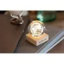 GLOBE LIGHT staklena LED globus kugla