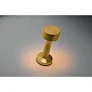 HIERLUZ Rechargeable iron table lamp