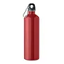 REBIG MOSS Single wall bottle, 750ml