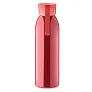 BIRA Stainless steel bottle 650ml
