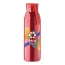 BIRA Stainless steel bottle 650ml