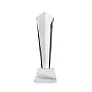 DIAWARD Crystal award in a gift box