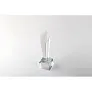 DIAWARD Crystal award in a gift box
