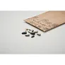 GIRASOL Sunflower seeds in envelope