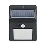 MOTI Solar LED light motion