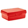CARMANY Lunch box in recycled PP 800ml