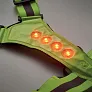 ROUNDVISIBLE Reflective body belt with LED