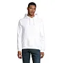 STELLAR STELLAR HOOD SWEATER 280g