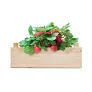 STRAWBERRY Strawberry kit in wooden crate