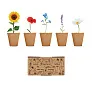 FLOWERS komplet za uzgoj cvijeća