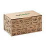 SALAD Salad growing kit