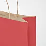 PAPER TONE L velika papirnata poklon vrećica 90 gr/m²