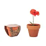 RED POPPY mak u glinenoj posudi