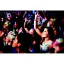 TYVEK One sheet of 10 wristbands