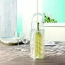 BACOOL Transparent PVC cooler bag