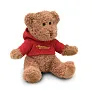 JOHNNY Teddy bear plus with t-shirt