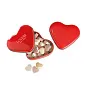 LOVEMINT Heart tin box with candies
