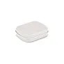 BRISE Easy tin silver w/mints