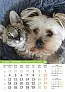 "PSI i MAČKE" color kalendar