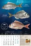  "S RIBARNICE" color calendar