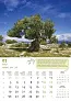  "MASLINE" color calendar