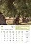  "MASLINE" color calendar