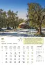  "MASLINE" color calendar