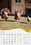  "BAJKOVITO ZAGORJE I MEĐIMURJE" color calendar