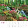  "ČARI PRIRODE" color calendar